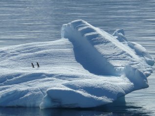 Antartide, in tre anni si è sciolta un’area grande quanto il Messico
