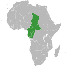 Africa Centrale: ripresa economica all'orizzonte