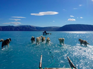 Groenlandia: il ghiaccio si scioglie a velocità record