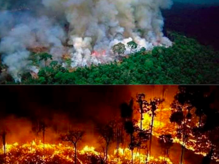 Record di incendi in Amazzonia. Bolsonaro: “Colpa delle Ong”