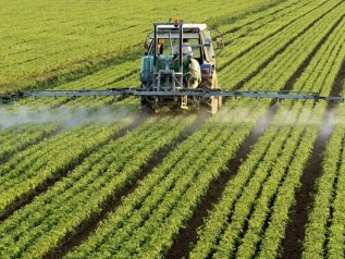 Il sindaco limita i pesticidi e gli agricoltori lo trascinano in tribunale