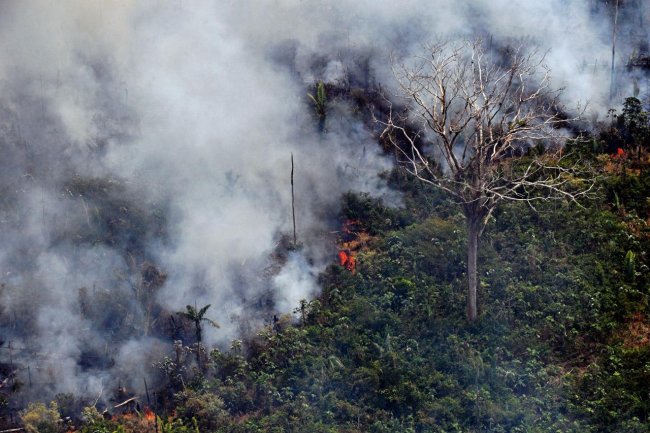 Amazzonia, l’ipocrisia delle economie avanzate