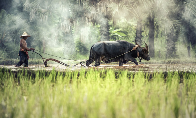 Come la Cina sta cambiando la Cambogia