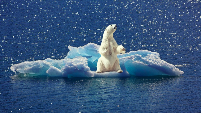Clima, Berlino investe 100 mld sulla green economy