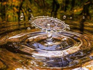 Trascurare la natura ci costerà molto caro