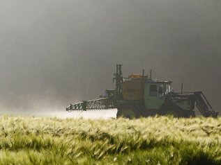 Tiacloprid, Bruxelles vieta il pesticida: è tossico per l'uomo