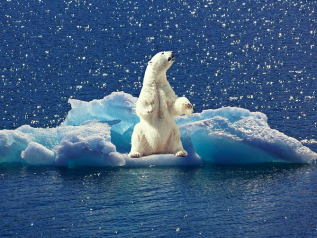 Antartide, lo scioglimento dei ghiacci è “iniziato” 300 anni fa