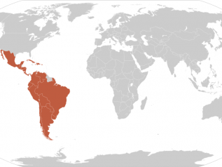 La ripresa c’è, ma è "moderata" per l'America latina