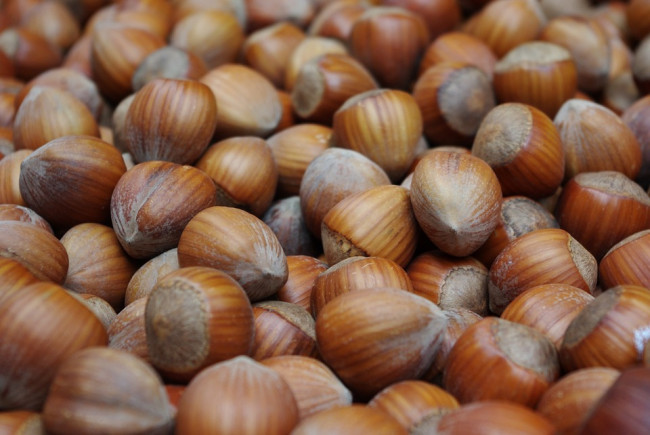 Nocciole, a livello globale l’Italia produce il 14%. Ferrero assorbe il 20%