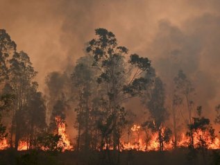 Incendi, le fiamme sfiorano anche Sydney e Melbourne
