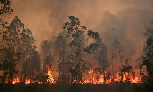 Incendi, le fiamme sfiorano anche Sydney e Melbourne
