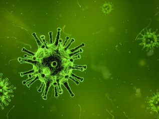 Virus: “Si trasmette da uomo a uomo”. Crollano le Borse asiatiche