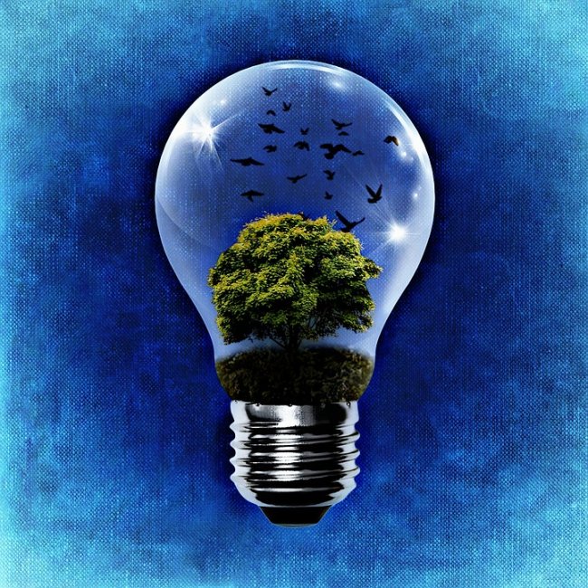 100% di elettricità da fonti rinnovabili entro il 2030