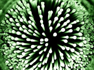 Coronavirus, aumentano i decessi. E c’è il primo italiano positivo
