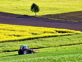 Agricoltura biologica: +34% in 6 anni nell’Ue