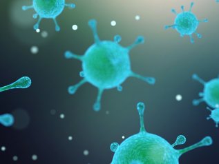 Coronavirus, salgono contagiati e decessi. Non si trovano i ‘pazienti zero’