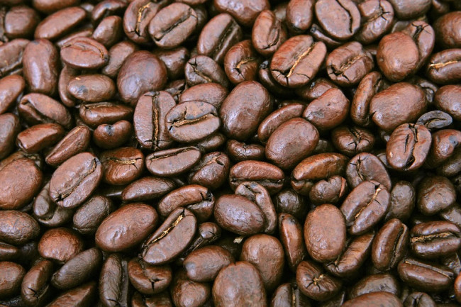 Nespresso e Starbucks nella bufera: sfruttano i bambini