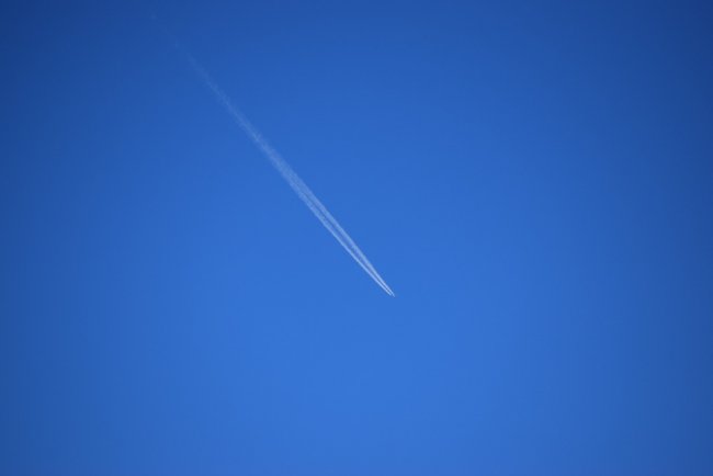 Le compagnie fanno volare aerei vuoti per non perdere gli slot
