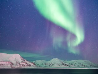 Biodiversità, 1 mln di semi è al sicuro alle Svalbard