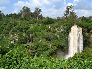 Amazzonia superata dall’Africa: è il continente il polmone verde del globo