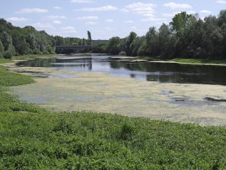 C’è un fattore di rischio ambientale come la CO2: è l’azoto