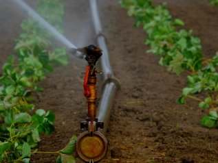 20 mld di metri cubi di acqua ogni anno per l’agricoltura