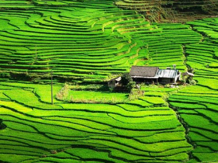 C’è una crisi alimentare in un mondo pieno di cibo