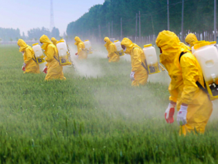 Bruxelles taglia i pesticidi. Ma solo del 50% ed entro il 2030