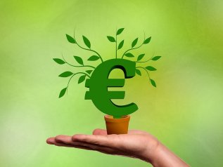 Il ‘miraggio’ della green economy