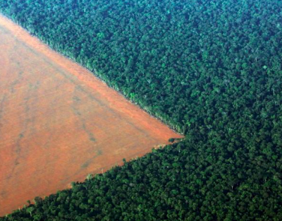 Deforestazione in Amazzonia: +34% in un anno