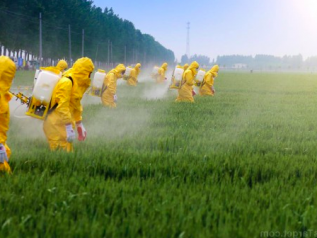 Glifosato, Bayer: accordo da 8-10 mld di dollari