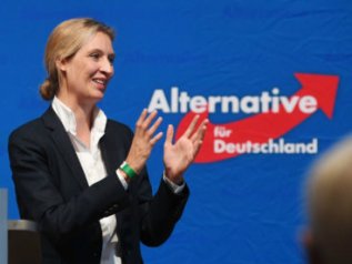 Germania: quali correlazioni hanno portato al successo AfD?