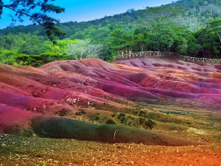 Le isole Mauritius rischiano il disastro ambientale