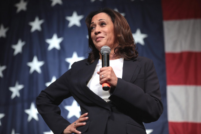 Kamala Harris, la prima candidata afroamericana alla vicepresidenza