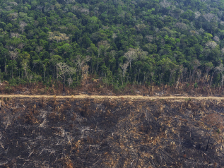Incendi, nuovo record in Amazzonia. Ma non è solo colpa di Bolsonaro