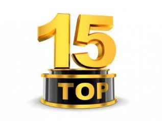 Le aziende Top 15 per fatturato 