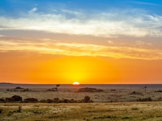 Il 40% della foresta amazzonica è diventato savana