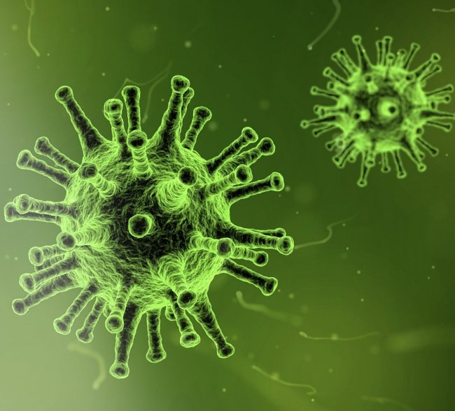 Covid, 1 paziente su 5 tra i guariti si positivizza di nuovo