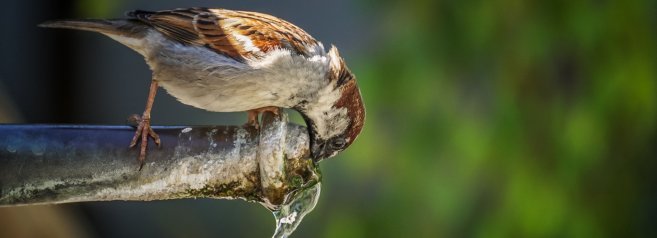 Acqua pubblica (ancora) senza legge