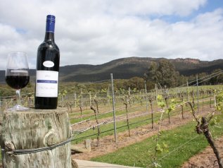La Cina impone dazi fino al 212% sul vino australiano
