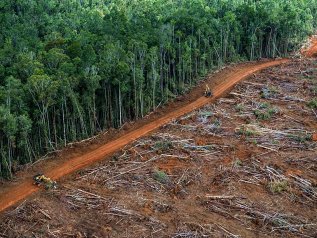 Amazzonia, nel 2020 devastati 8.500 kmq di foreste