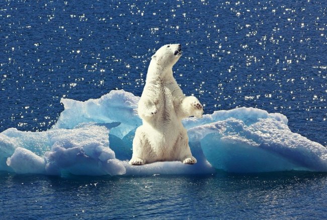 Paradosso climatico. Il governo Macron non rispetta l’Accordo di Parigi