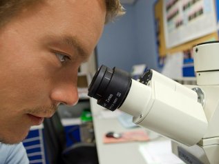 L’università italiana nella ‘top 5’ globale per la ricerca sul Covid