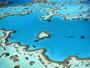 La barriera corallina ha una nuova tonalità di blu. Non è una ‘good news’