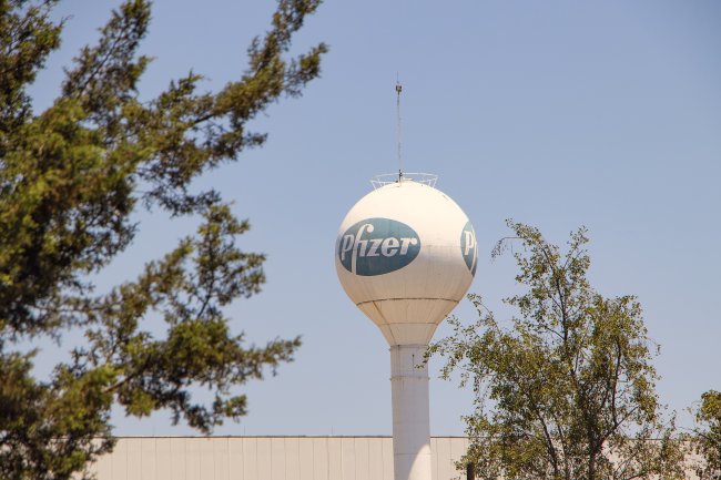 Vaccini Pfizer contraffatti