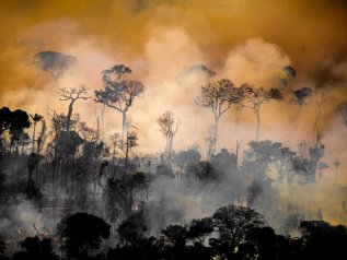 Dopo averla ignorata, ora Bolsonaro chiede aiuto (e soldi) per l’Amazzonia