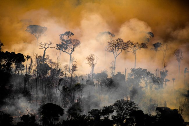 Dopo averla ignorata, ora Bolsonaro chiede aiuto (e soldi) per l’Amazzonia