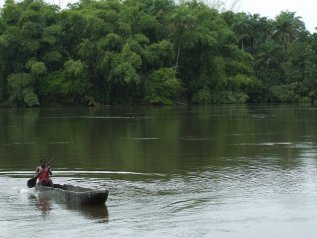 La Sierra Leone ha venduto la sua foresta pluviale alla Cina per un porto