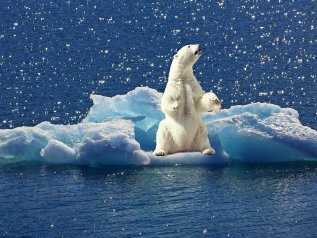 Il Polo Nord è la nuova frontiera delle rivalità geopolitiche ed economiche