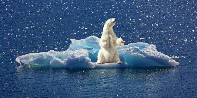 Il Polo Nord è la nuova frontiera delle rivalità geopolitiche ed economiche